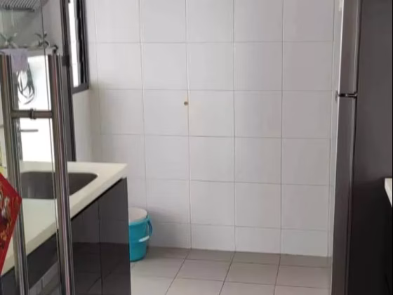 House Rent • Changi Bay • TANJONG PAGAR ROAD (088501) • S$5200 • 4-Room (3 BR) • 1100ft² / 102m² Photo