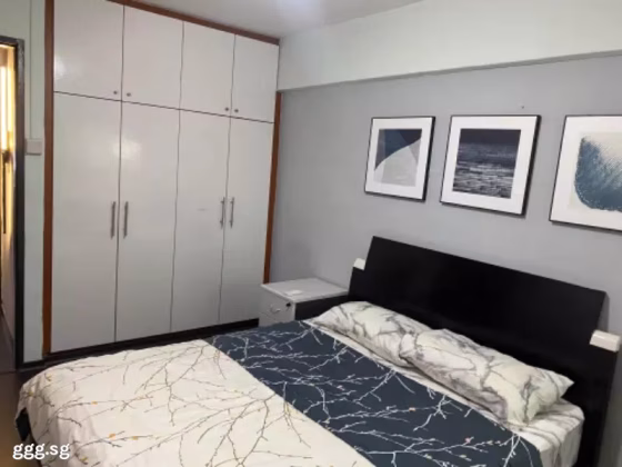 Room Rent • Outram • 32 Cassia Crescent • S$1200 • 4-Room (3 BR) • Common Room Photo