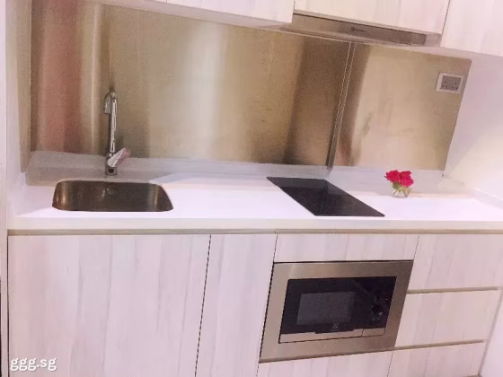 Room Rent • Outram •  Park 1 Suites • S$1680 • Apartment • Master Room Photo