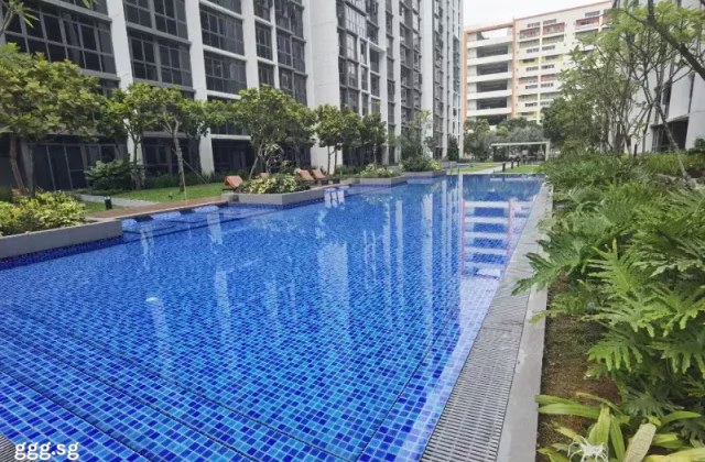 Room Rent • Rochor •  Symphony Suites • S$500 • Condo • Room Sharing