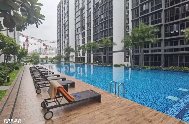 Room Rent • Rochor •  Symphony Suites • S$1200 • Condo • Common Room