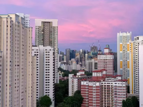 Room Rent • Clementi • 130 Bukit Merah View • S$1200 • 4-Room (3 BR) • Common Room Photo