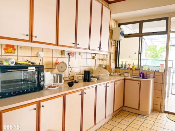Room Rent • Orchard •  Sunrise Villa • S$1350 • 2-Room (1 BR) • Common Room Photo