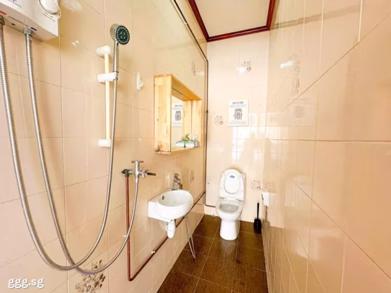 Room Rent • Orchard •  Sunrise Villa • S$1350 • 2-Room (1 BR) • Common Room Photo