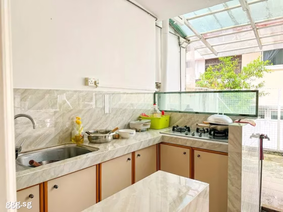 Room Rent • Orchard •  Sunrise Villa • S$1350 • 2-Room (1 BR) • Common Room Photo