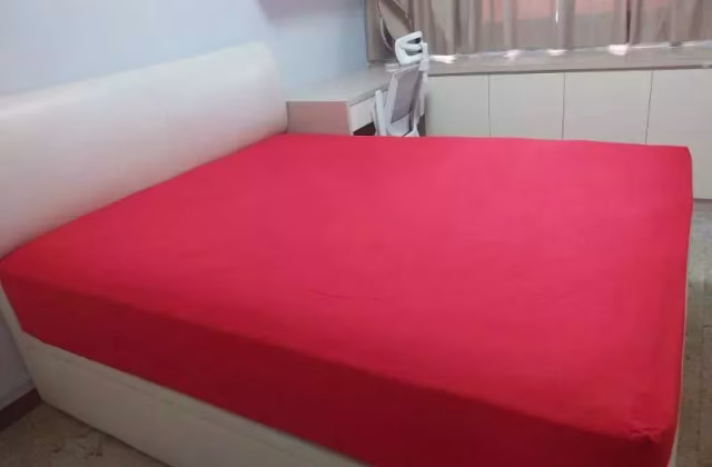 Room Rent • Museum • 59C Geylang Bahru • S$1100 • 3-Room (2 BR) • Common Room