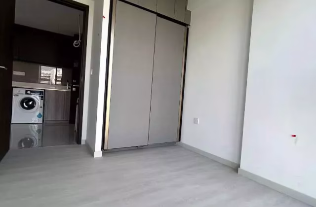 House Rent • Singapore River •  Riverfront Residences • S$3600 • 2-Room (1 BR) • 603ft² / 56m²
