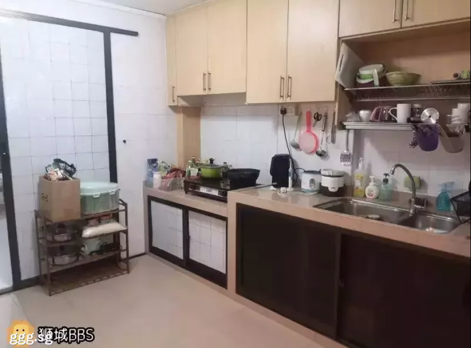 Room Rent • Choa Chu Kang • 6 Ghim Moh Road • S$550 • 3-Room (2 BR) • Room Sharing Photo