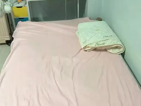 Room Rent • Choa Chu Kang • 6 Ghim Moh Road • S$550 • 3-Room (2 BR) • Room Sharing Photo