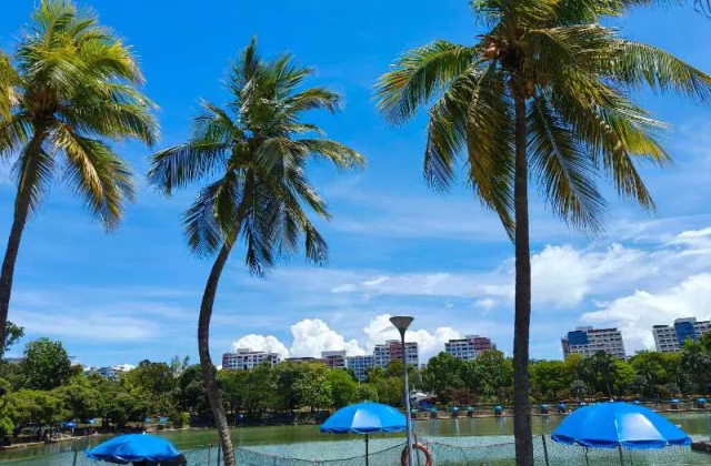 Room Rent • Ang Mo Kio • 506 Pasir Ris Street 52 • S$1200 • 5-Room (4 BR) • Common Room