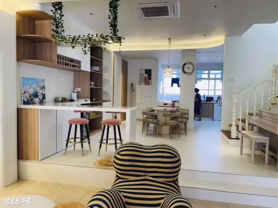 Room Rent • Orchard •  Alana • S$1400 • Terraced House • Common Room Photo