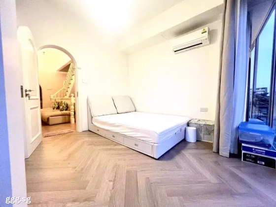 Room Rent • Orchard •  Alana • S$1400 • Terraced House • Common Room Photo