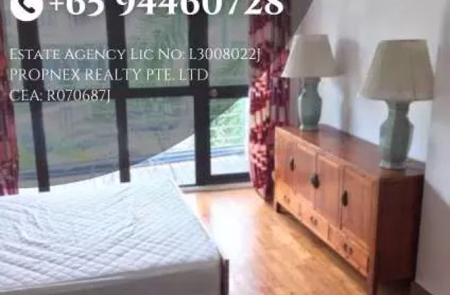 House Rent • Southern Islands •  Suites @ Sophia • S$2950 • Apartment • 430ft² / 39m²