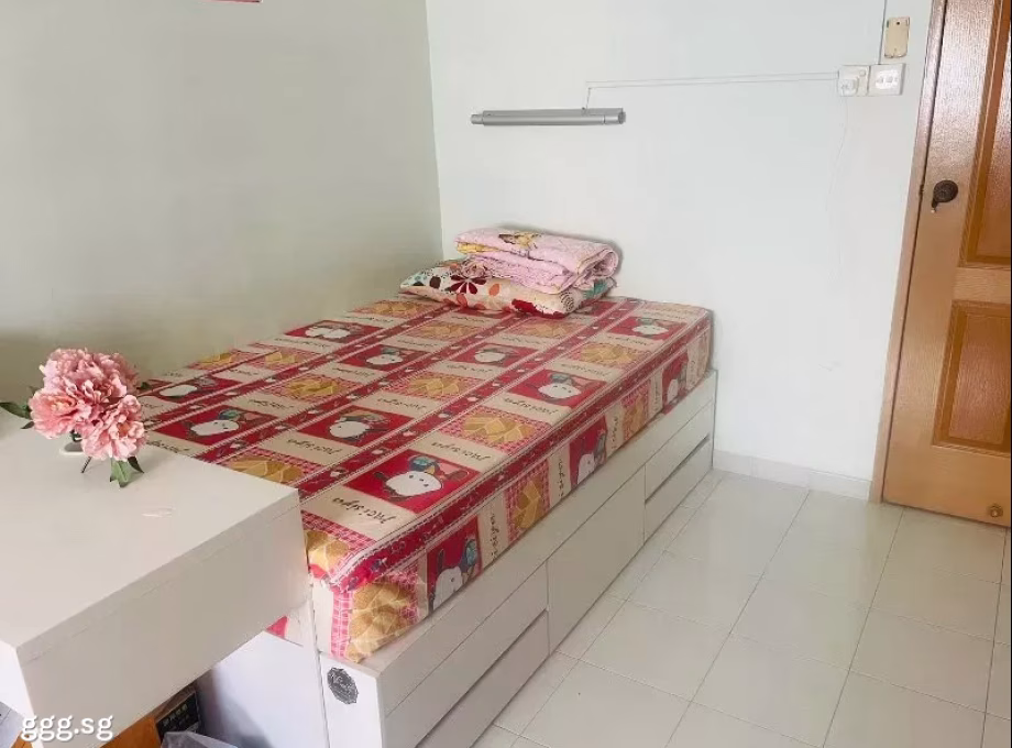 Room Rent • Rochor • 366 Yishun Ring Road • S$500 • 4-Room (3 BR) • Common Room Photo