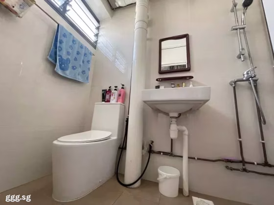 Room Rent • Rochor • 366 Yishun Ring Road • S$900 • 4-Room (3 BR) • Common Room Photo