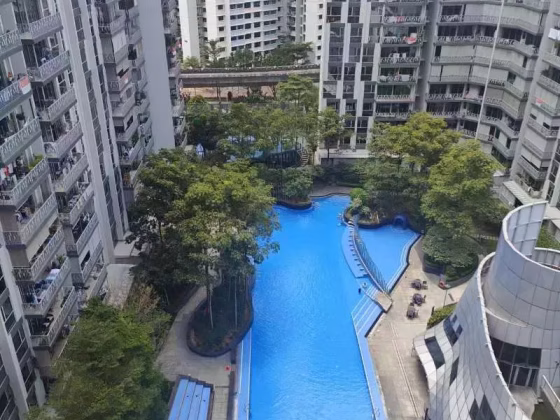 Room Rent • Changi •  Flo Residence • S$1200 • Apartment • Common Room Photo