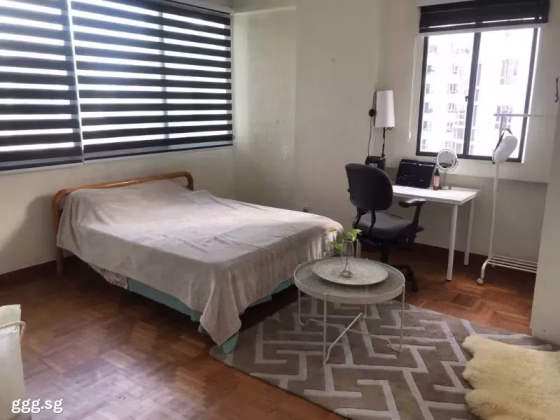 Room Rent • Newton •  Rajah Towers • S$1500 • Apartment • Common Room Photo