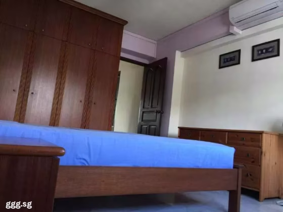 House Rent • Geylang • 704 Choa Chu Kang Street 53 • S$4000 • 5-Room (4 BR) • 1443ft² / 134m² Photo