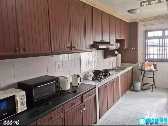 Room Rent • Lim Chu Kang • 660A Jurong West Street 64 • S$1200 • 4-Room (3 BR) • Common Room Photo