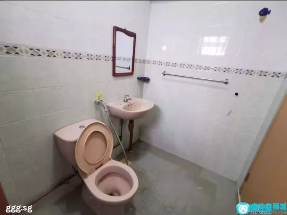Room Rent • Lim Chu Kang • 660A Jurong West Street 64 • S$1200 • 4-Room (3 BR) • Common Room Photo