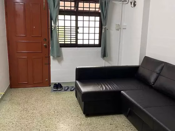 Room Rent • Southern Islands • 9 Selegie Road • S$700 • 2-Room (1 BR) • Common Room Photo