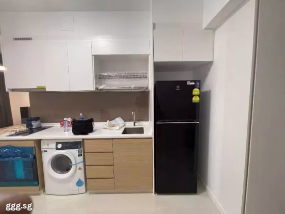 House Rent • Western Water Catchment •  Treasure At Tampines • S$2700 • 2-Room (1 BR) • 463ft² / 43m² Photo