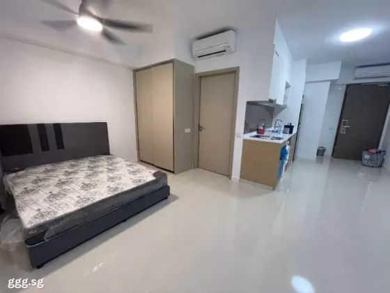 House Rent • Western Water Catchment •  Treasure At Tampines • S$2700 • 2-Room (1 BR) • 463ft² / 43m² Photo