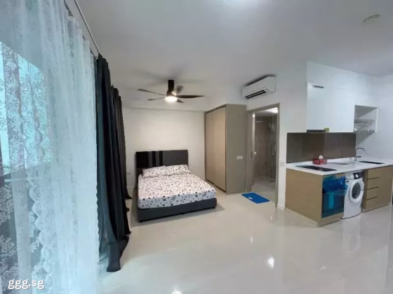 House Rent • Western Water Catchment •  Treasure At Tampines • S$2700 • 2-Room (1 BR) • 463ft² / 43m² Photo
