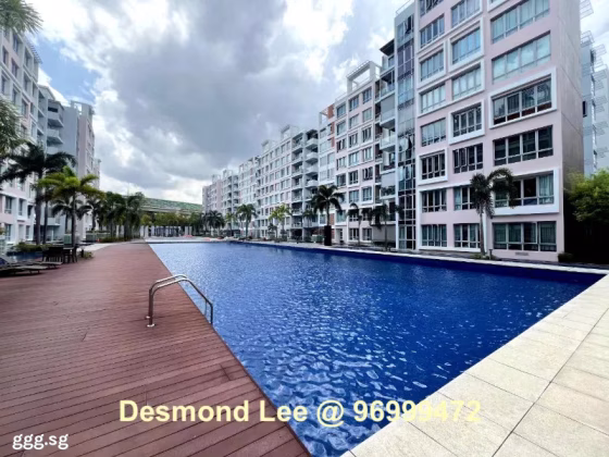 House Rent • Ang Mo Kio •  Ferraria Park Condominium • S$4500 • Condo • 1356ft² / 125m² Photo