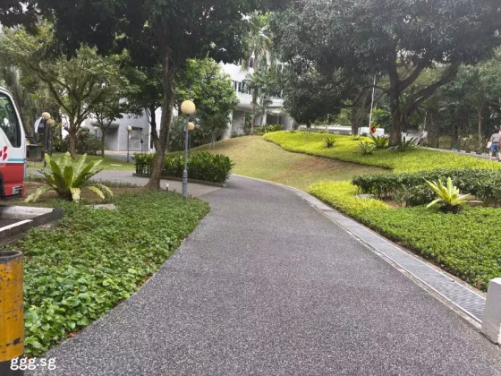 Room Rent • Clementi •  Teresa Ville • S$70 • Condo • Short-term Rental Photo