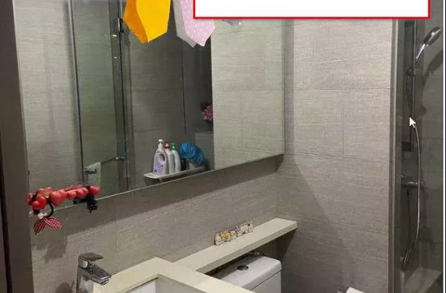 Room Rent • Rochor •  The Criterion • S$780 • Condo • Common Room