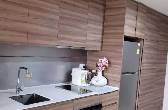 House Rent • Orchard •  The Panorama • S$4100 • Condo • 