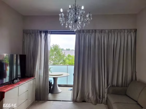 House Rent • Orchard •  The Panorama • S$4100 • Condo •  Photo