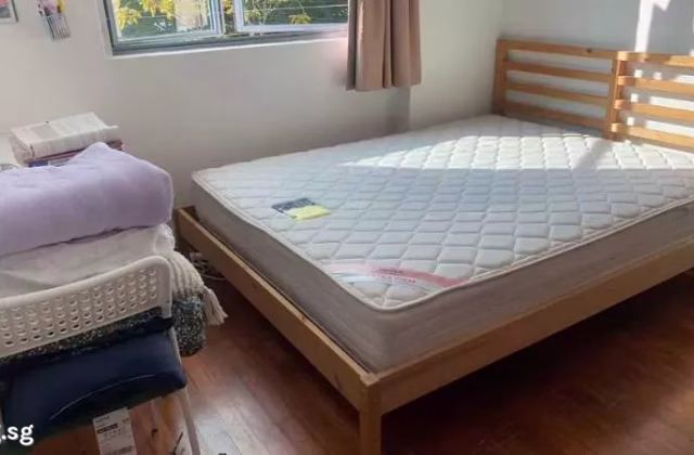 Room Rent • Bukit Merah •  Springdale Condo • S$1300 • Condo • Common Room