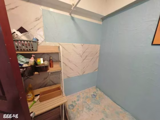 Room Rent • Western Water Catchment •  Melville Park • S$700 • Condo • Maid Room Photo