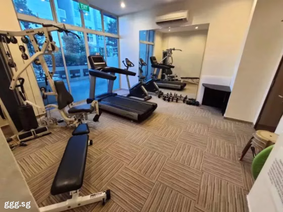 Room Rent • Newton •  Calarasi • S$1150 • Apartment • Common Room Photo