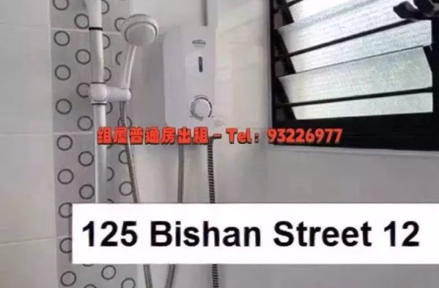 Room Rent • Bishan • 125 Bishan Street 12 • S$1080 • 3-Room (2 BR) • Common Room