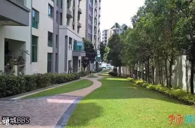 Room Rent • Novena •  Signature Park • S$650 • Condo • Common Room