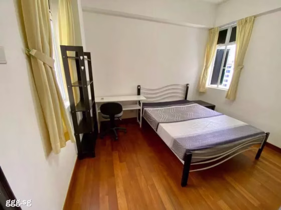 Room Rent • Newton •  Summer Green • S$1350 • Apartment • Common Room Photo