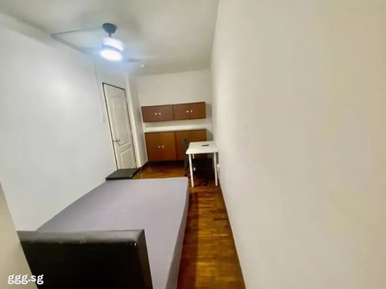 Room Rent • Marine Parade •  Braddell View • S$1200 • Apartment • Common Room Photo