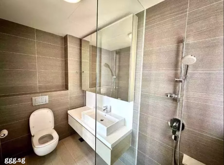 Room Rent • Orchard •  The Panorama • S$1900 • 2-Room (1 BR) • Common Room Photo