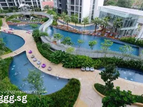 Room Rent • Orchard •  The Panorama • S$1900 • 2-Room (1 BR) • Common Room Photo