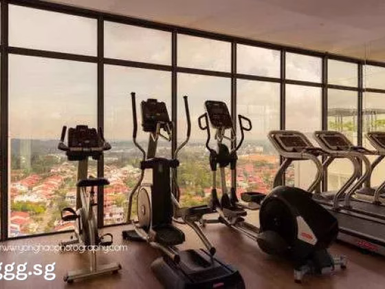 Room Rent • Orchard •  The Panorama • S$1900 • 2-Room (1 BR) • Common Room Photo