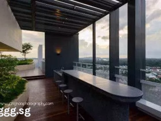 Room Rent • Orchard •  The Panorama • S$1900 • 2-Room (1 BR) • Common Room Photo