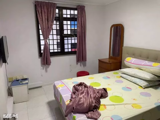 Room Rent • Outram • 22 Balam Road • S$1000 • 3-Room (2 BR) • Common Room Photo
