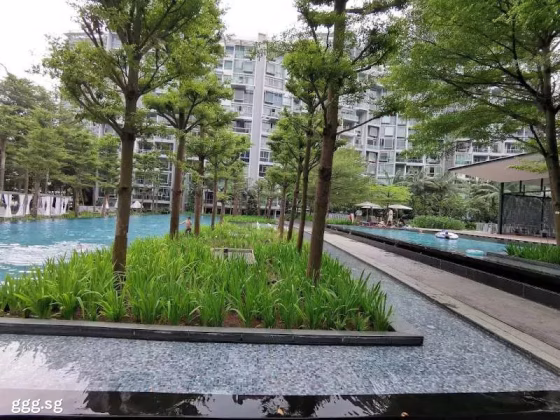 House Rent • Bukit Panjang •  Botannia • S$0 • Apartment • 926ft² / 86m² Photo