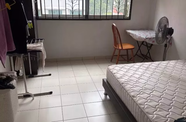 Room Rent • Rochor • 388 Yishun Ring Road • S$800 • 4-Room (3 BR) • Common Room