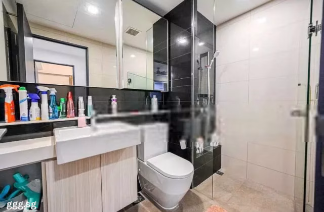 House Rent • Tengah •  Liberte • S$3250 • Apartment • 743ft² / 69m²