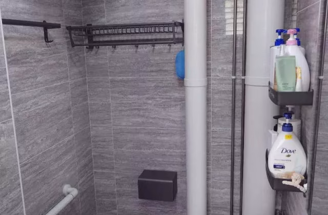 Room Rent • Singapore River • 548 Hougang Street 51 • S$500 • 3-Room (2 BR) • Common Room