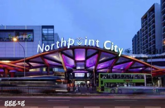 House Rent • Rochor •  North Park Residences • S$4980 • Apartment • 1100ft² / 102m²